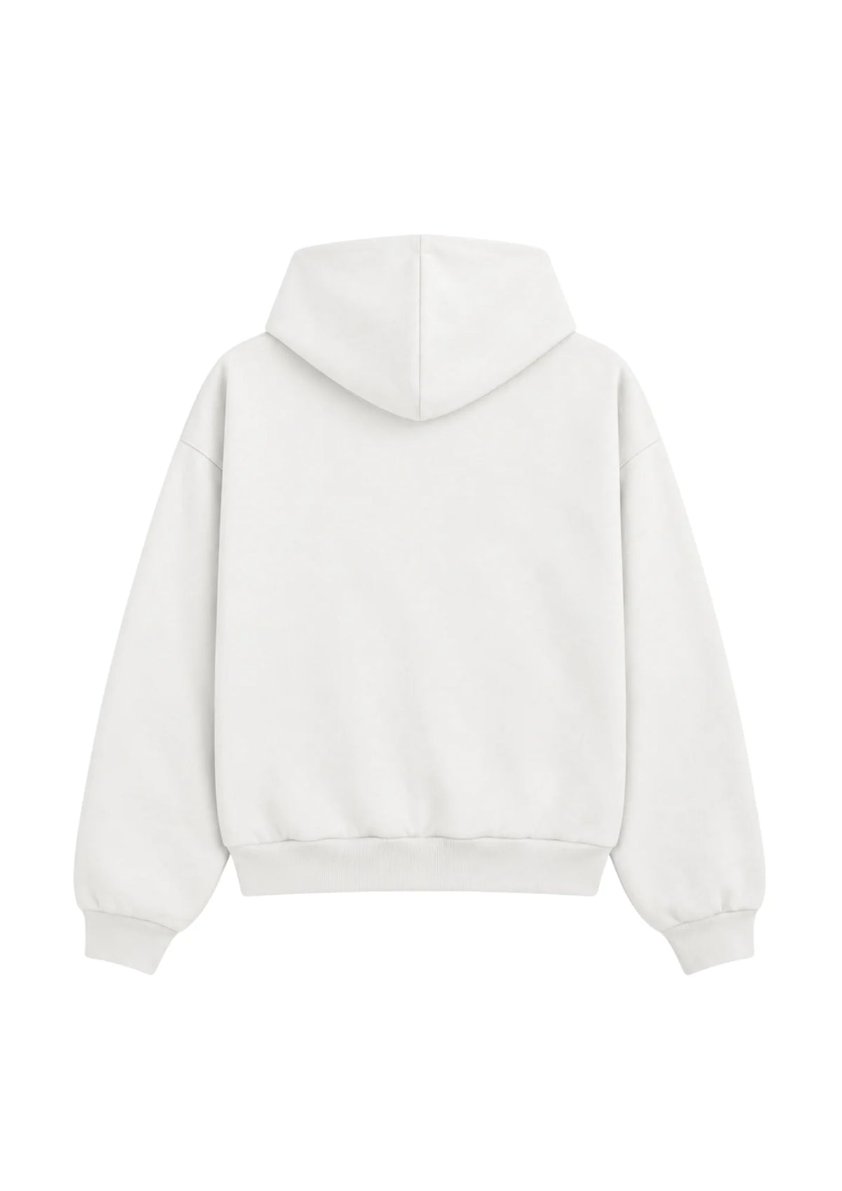 "All we need is Christ " Hoodie